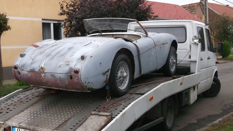 Austin Healey BN2 1956 (13)