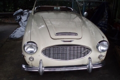 Austin Healey Mk1 1961_2